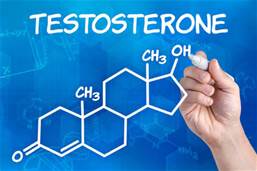 Low Testosterone  in Middle-age Women
