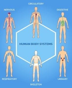 what are the different endocrine diseases