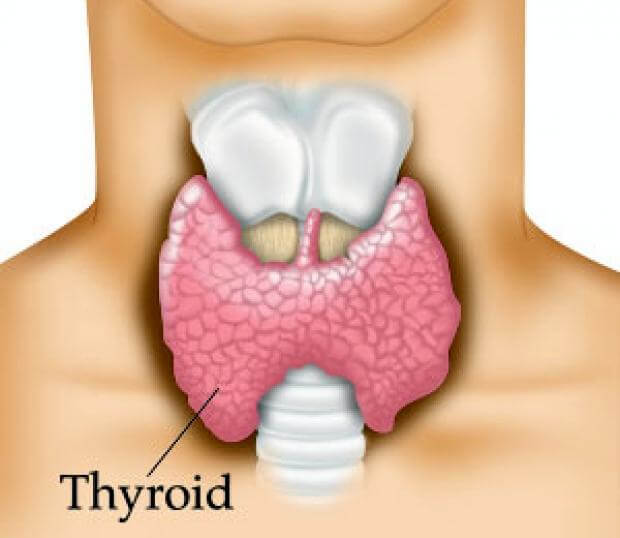 Best Thyroid Gland Books 2016