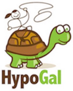 HypoGal